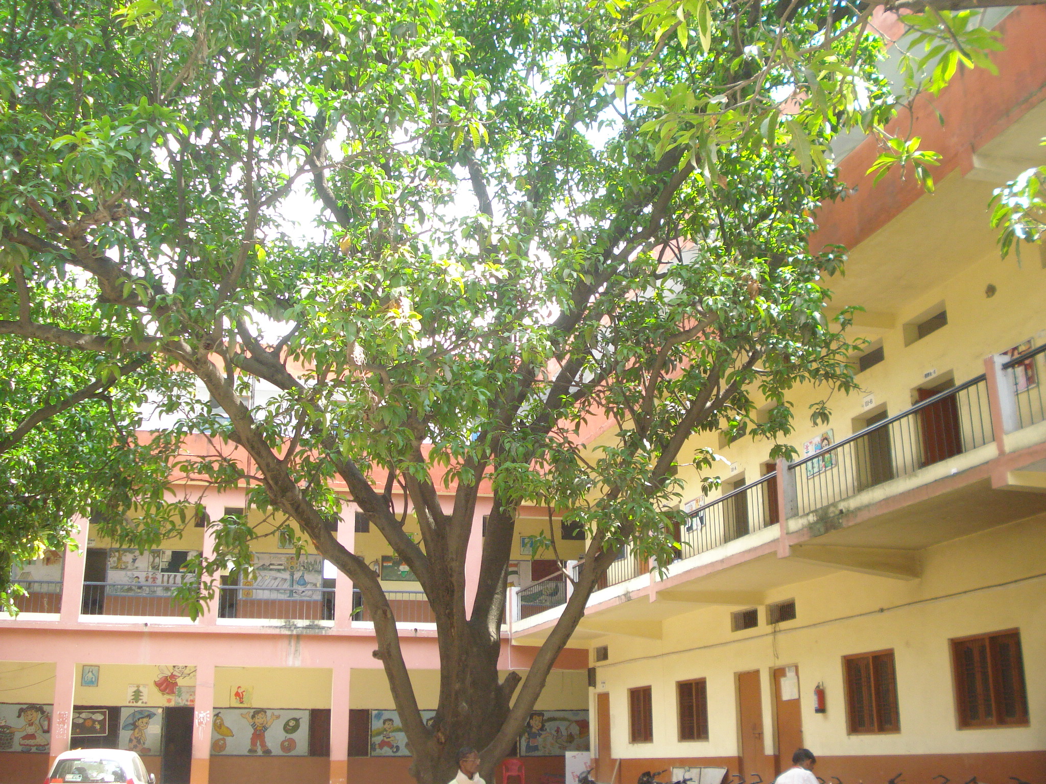 Silver Grove School Varanasi