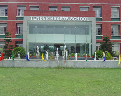 Tender Hearts School Lucknow