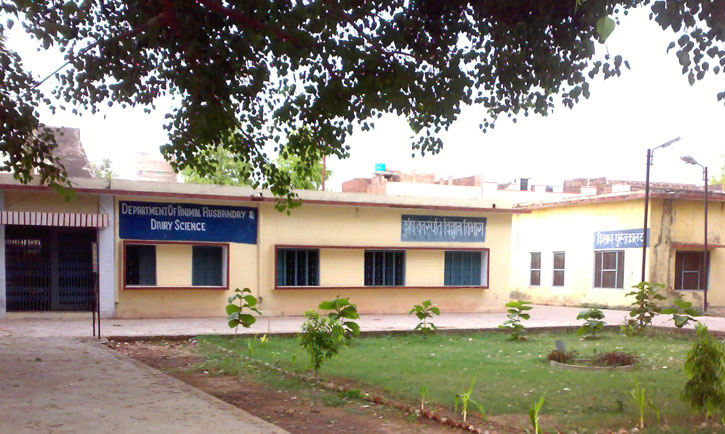 Zila Parishad Agriculture College Banda