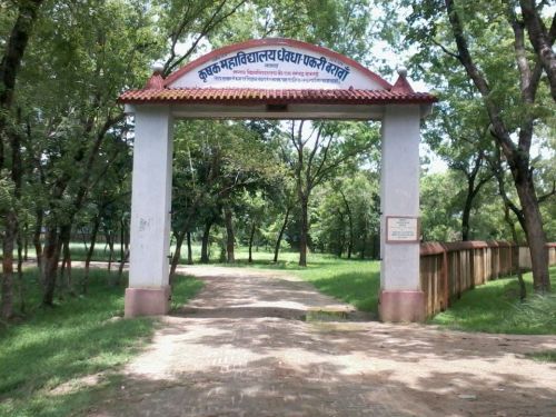 Krishak College, Dheodha Nawada